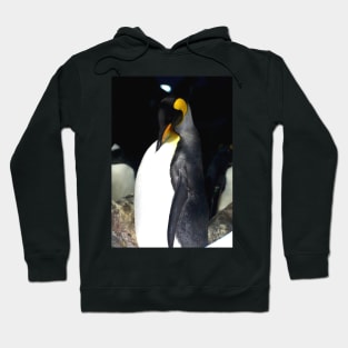 Emperor Penguin Hoodie